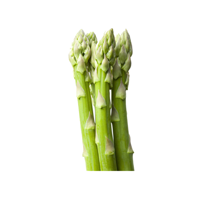 Discover <a href='/asparagus/'>Asparagus</a> Delicacy Straight from the Factory | Rich in Nutrition and Texture