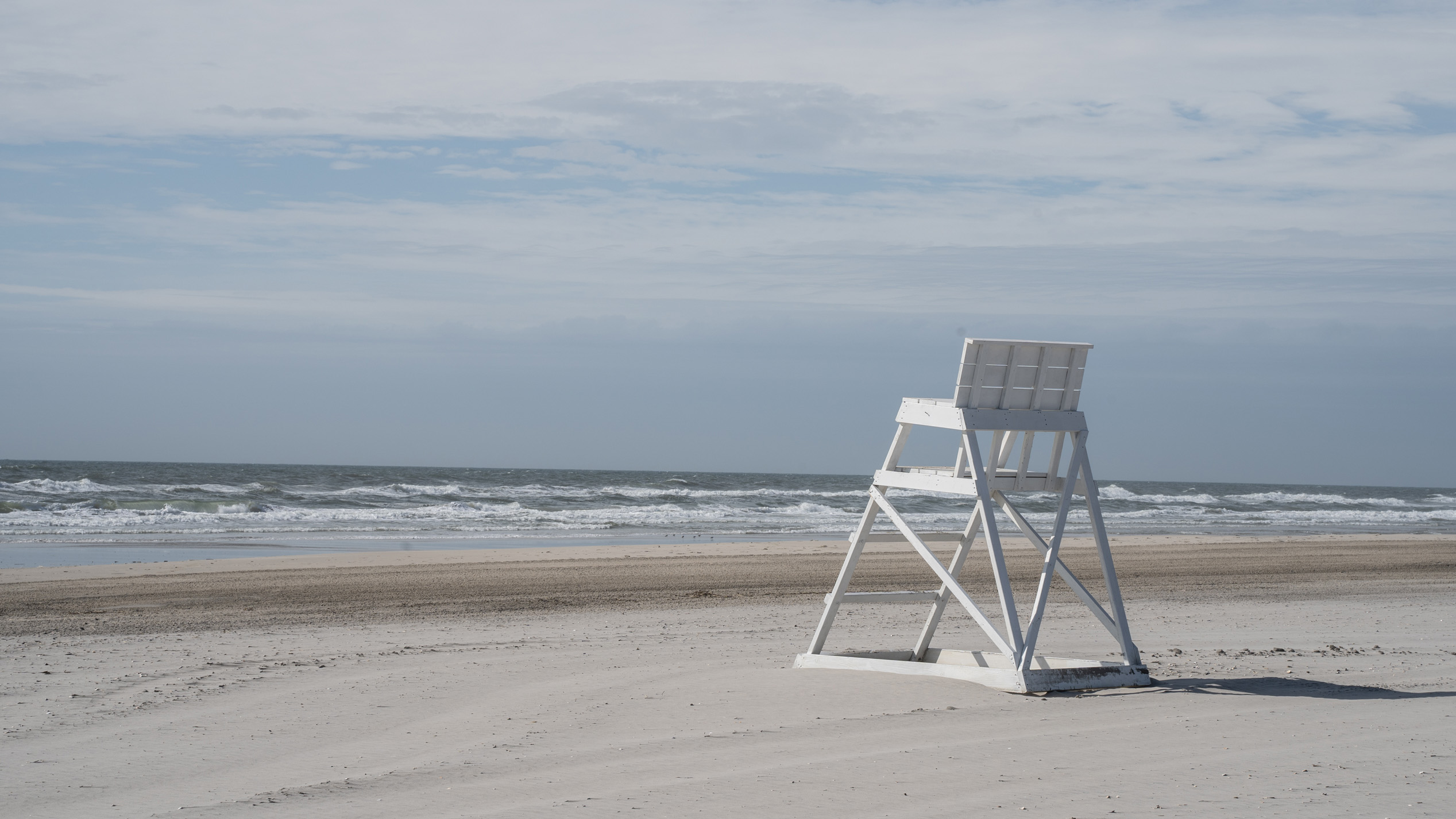 Dolphin found stranded on Avalon, NJ beach Sunday