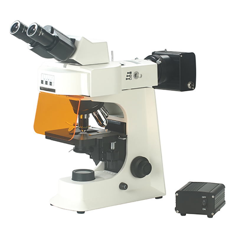 Factory Direct: BS-2036FB Fluorescent <a href='/binocular-microscope/'>Binocular Microscope</a> with LED - High-Quality Biological Microscopy Equipment