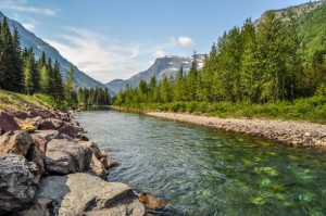 A river runs calmly through a valley in Glacier National Park of Montana.