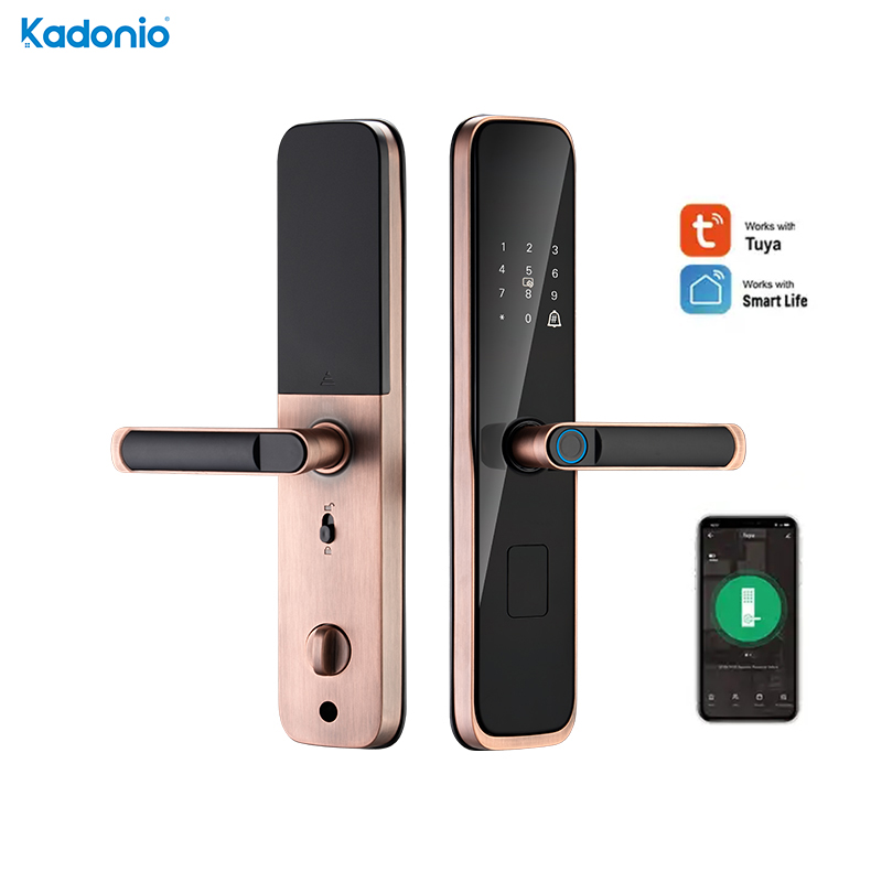 920-<a href='/fingerprint/'>Fingerprint</a> Smart Locks / Tuya WiFi Smart <a href='/door-lock/'>Door Lock</a>s