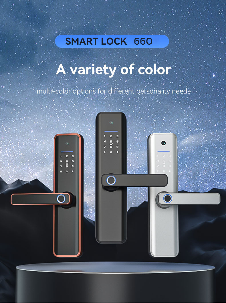 Electric Smart Lock (1)