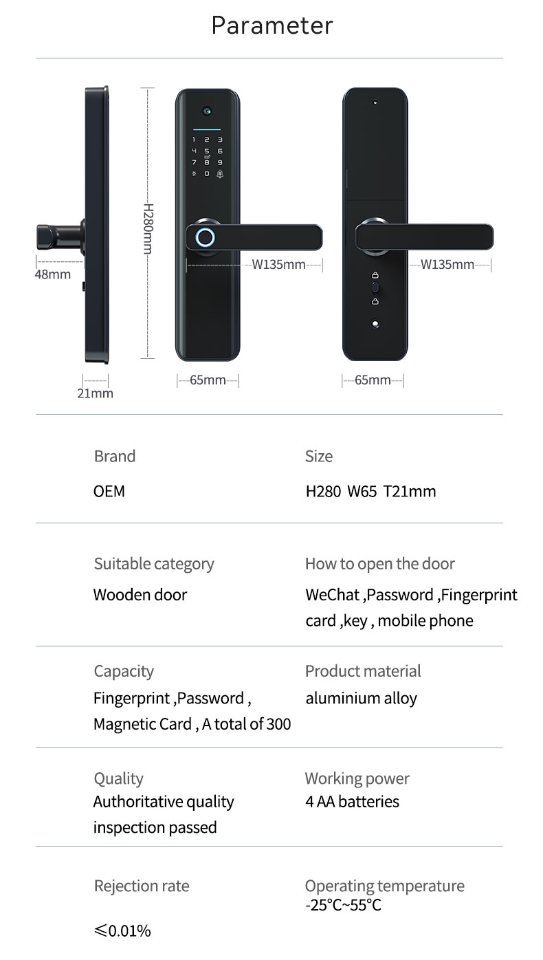 Electric Smart Lock (12)