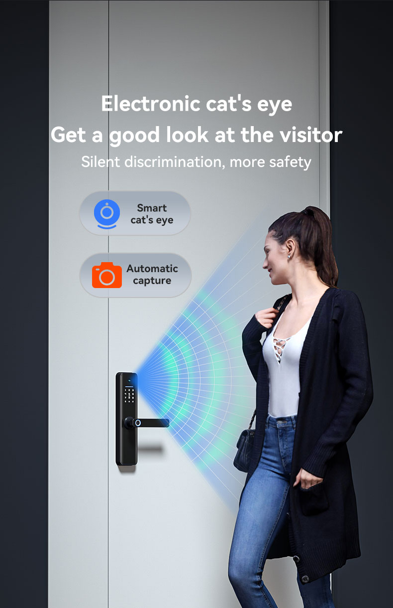 Electric Smart Lock (4)