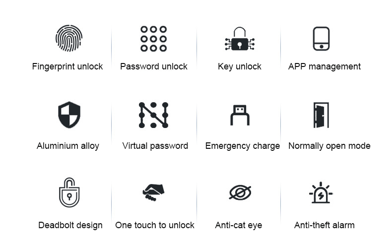 Fingerprint Smart Locks (2)