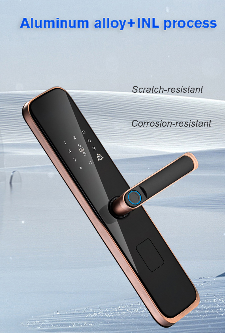 Fingerprint Smart Locks (3)