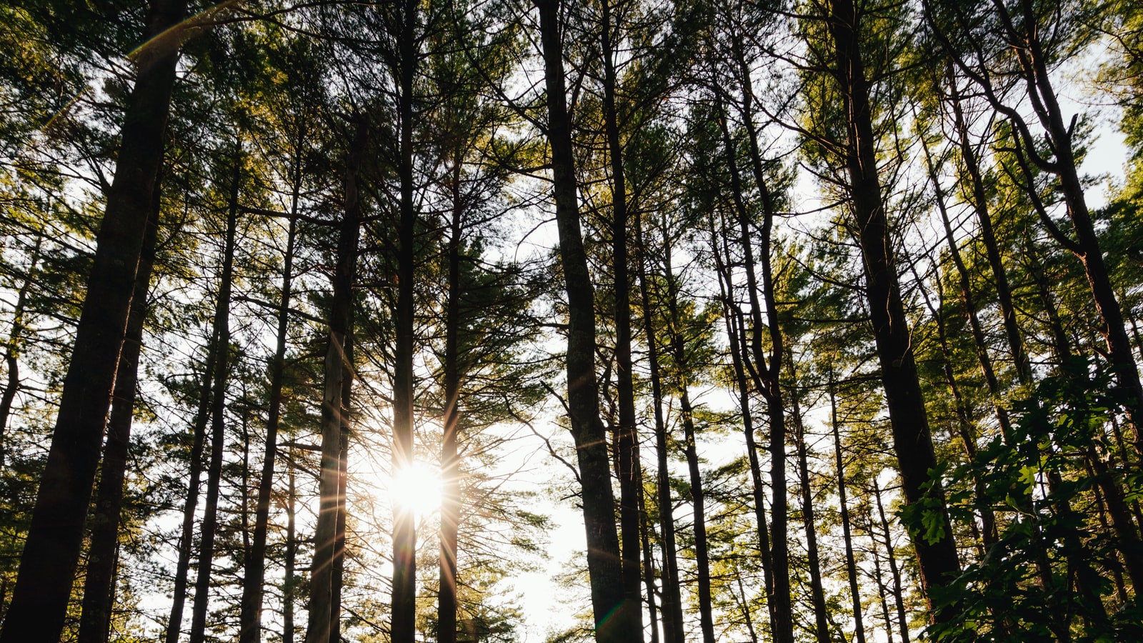 60W SOLAR STREET HIGH BRIGHTNESS LIGHT 6000 LUMENS thelidl