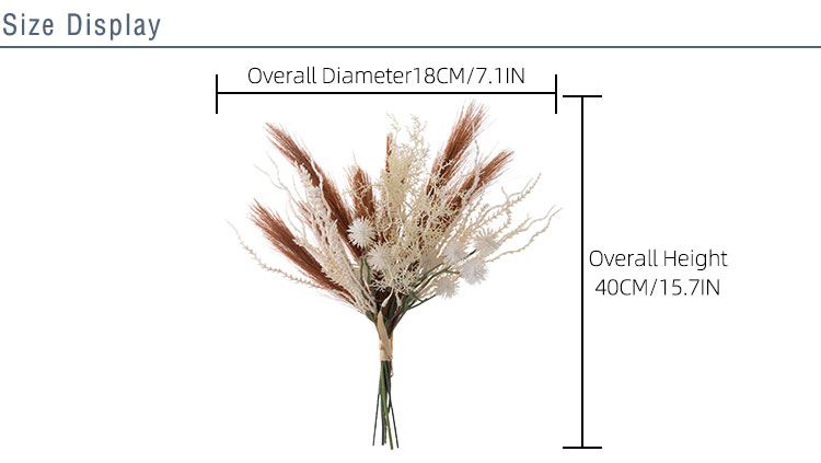 2 Diameter CF01320