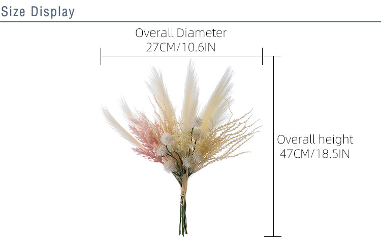 2 Diameter CF01322