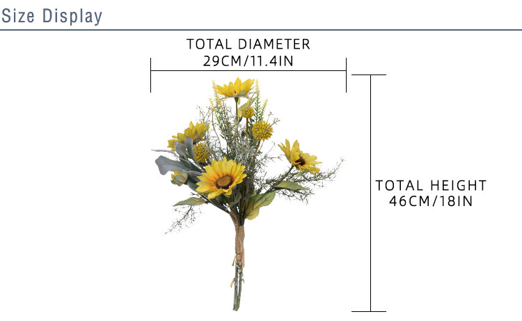 2 Height CF01123