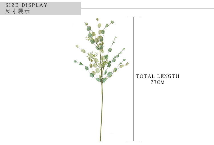 2 plants MW61206