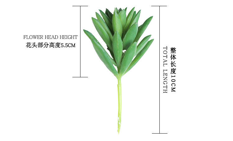 MW17672（电脑端）_02