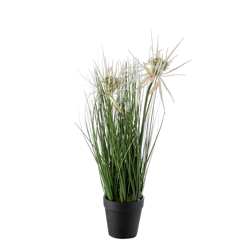 DY1-2854bonsaiOnion grassHigh QualityDecorative Flowers and PlantsFestive Decorations