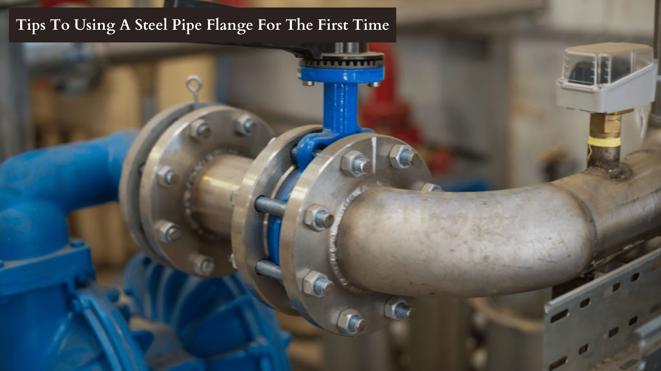 pipe flange | Sunny Steel Enterprise Ltd.