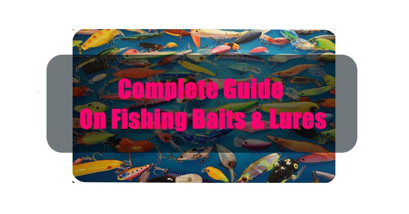 Fishing Lures: A Fisherman's Guide | Types and Description | Drootz Lt