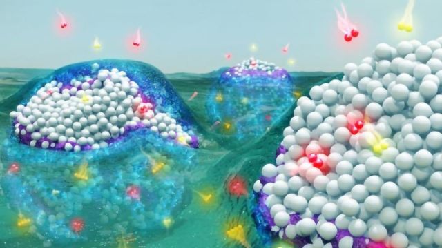 Ethyl Alcohol And Other Basic Organic Chemical Global