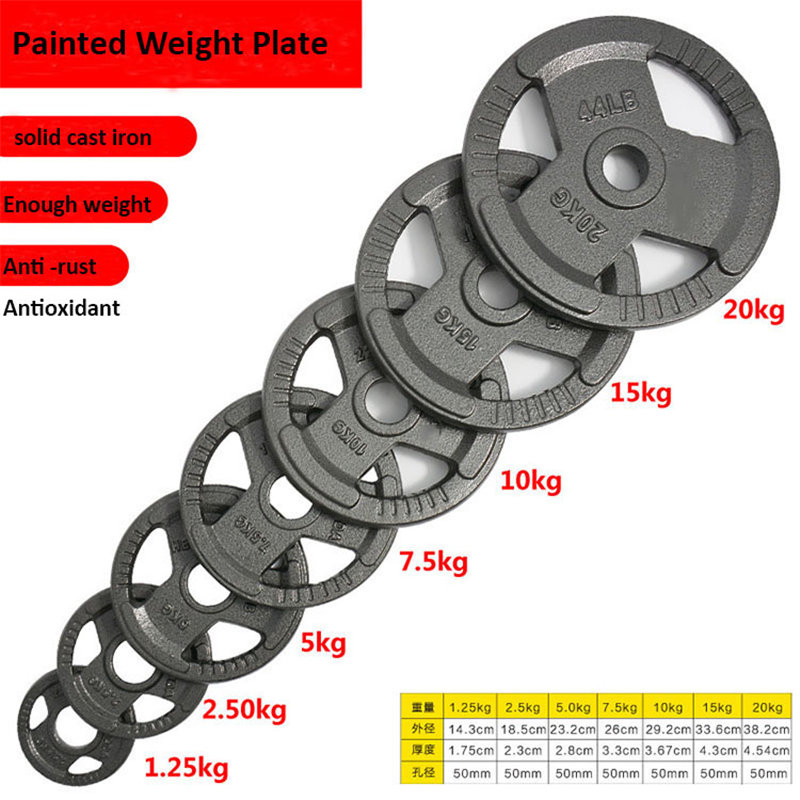 2.5KG 5KG 10KG 15KG 20KG Dumbbell Paint Plate Standard Barbell 05