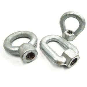 Premium Forged & Stainless Steel <a href='/eye-nut/'>Eye Nut</a>s | Factory Direct Supplier