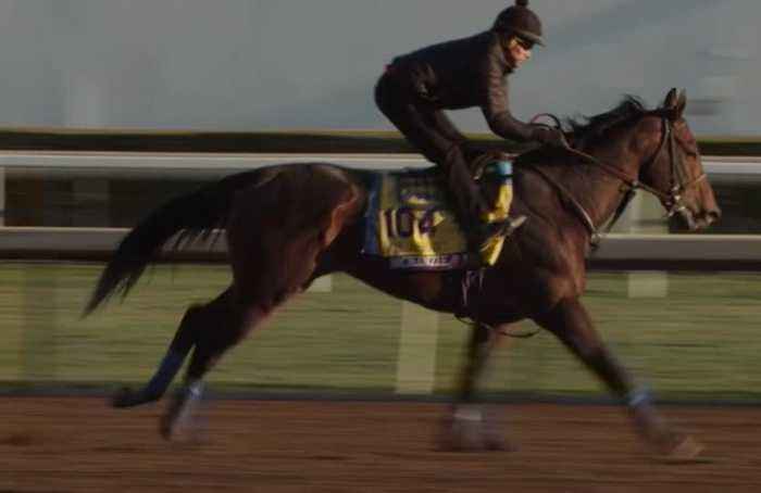 Honor Code, Frosted tune up for 2015 Breeders' Cup Classic at Keeneland