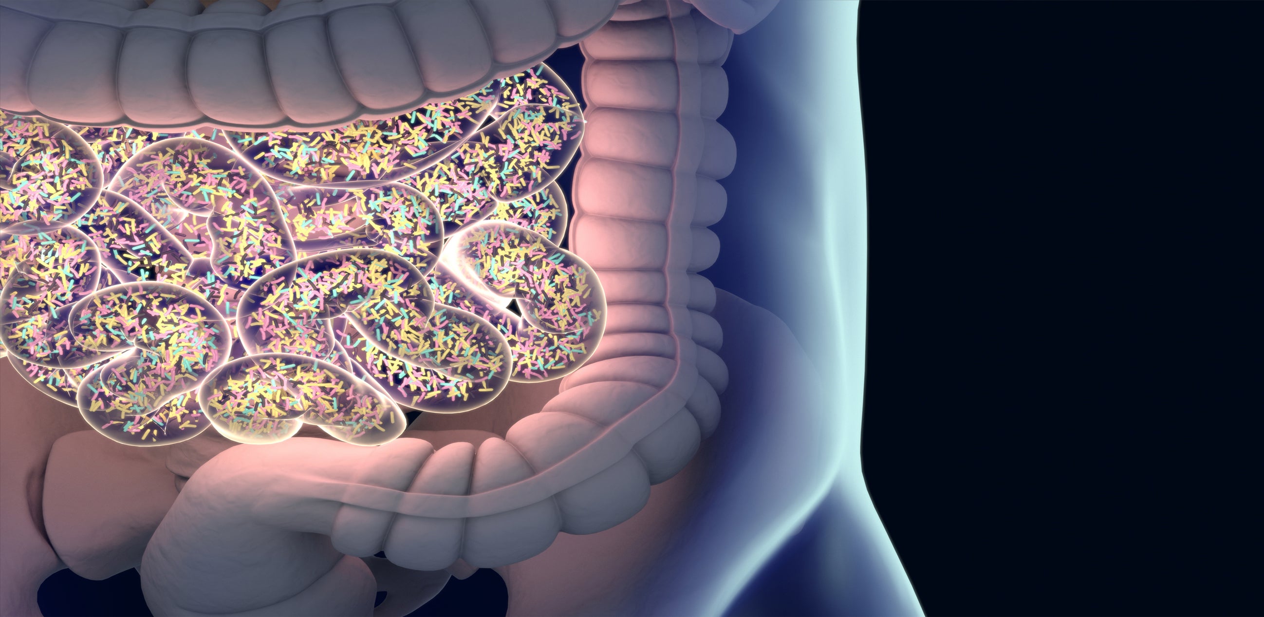 Sample Collection  Microbiome Insights