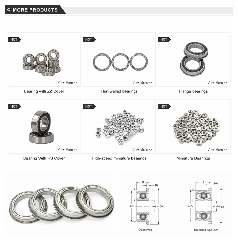 Low Noise Motorcycle Bearing Z2 V2 F6004 Flanged Ball Bearing