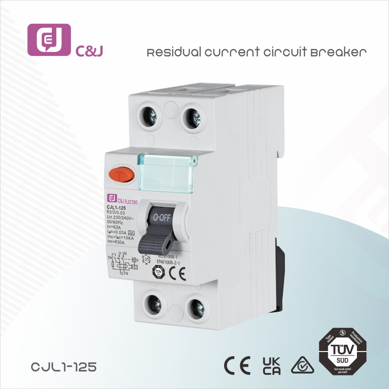Factory-Direct Residual Current <a href='/circuit-breaker/'>Circuit Breaker</a> CJL1-125 2P(RCCB) | Reliable Quality at Competitive Prices