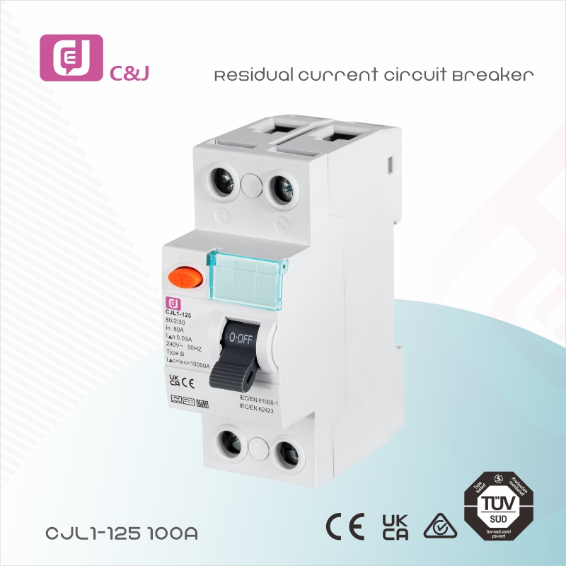 CJL1-125-B 100A 2p RCCB <a href='/elcb/'>ELCB</a> MCB Factory: Quality Residual Current <a href='/circuit-breaker/'>Circuit Breaker</a>