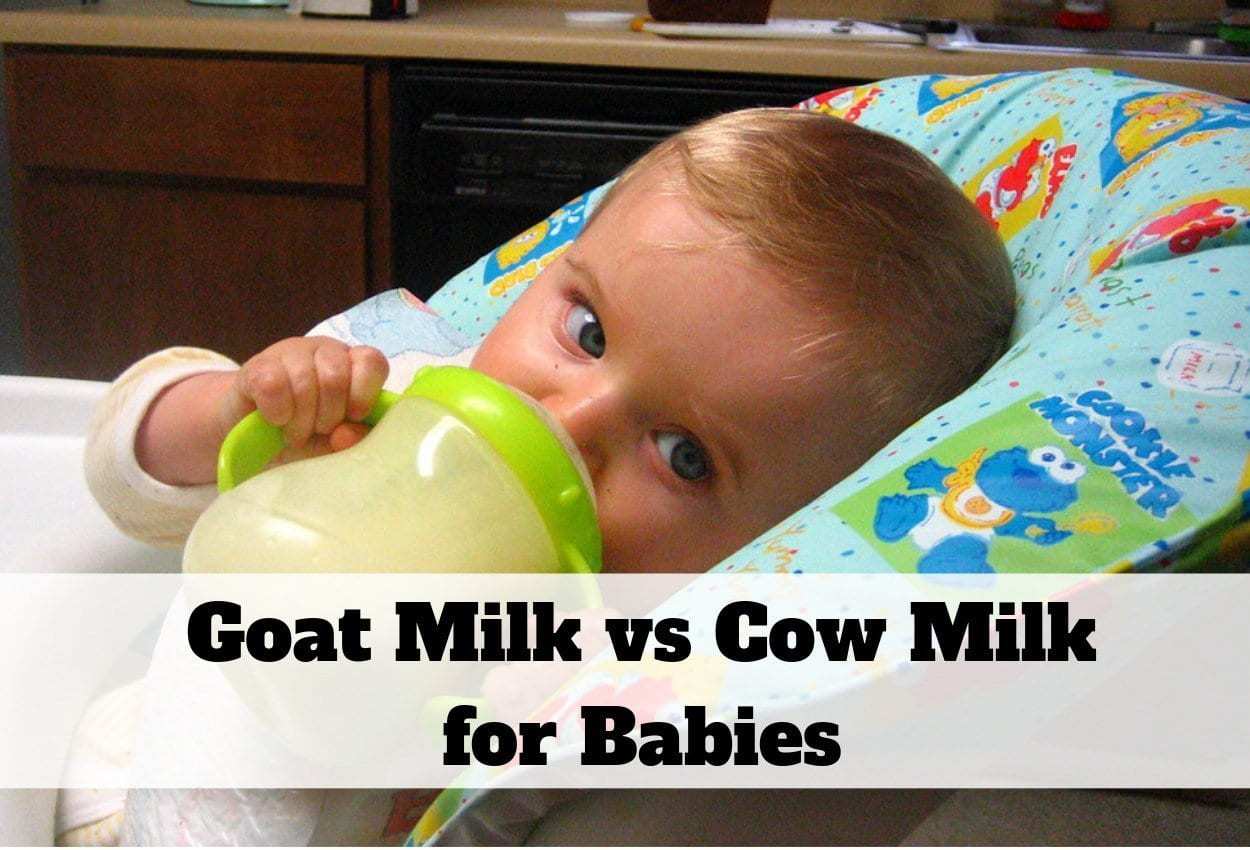 When can babies have cow's or goats milk as main form of calories? | Ray Peat Forum