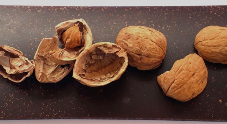 Walnut shell,China Walnut shell Supplier & Manufacturer