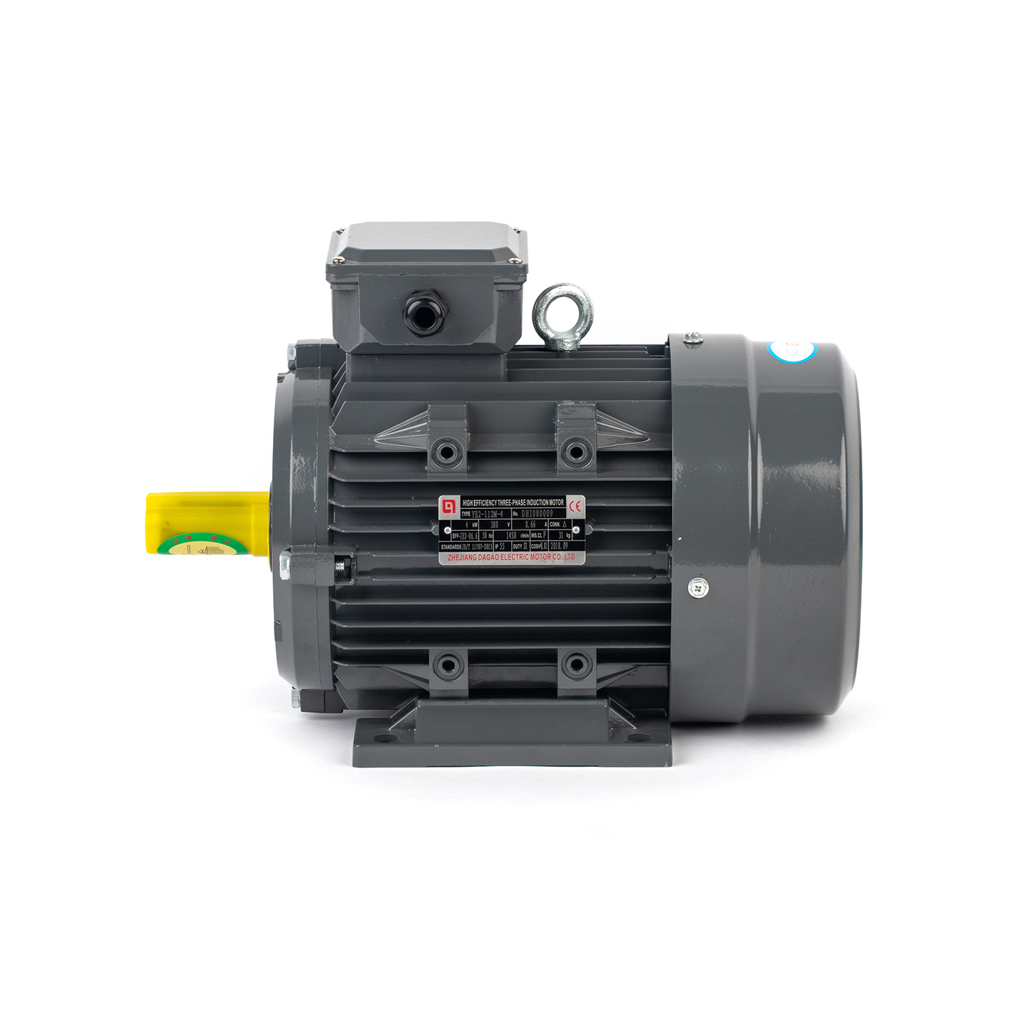 Ie2/Ie3 Efficiency Cast Iron Three Phase AC Electric Motor with 380V 50Hz