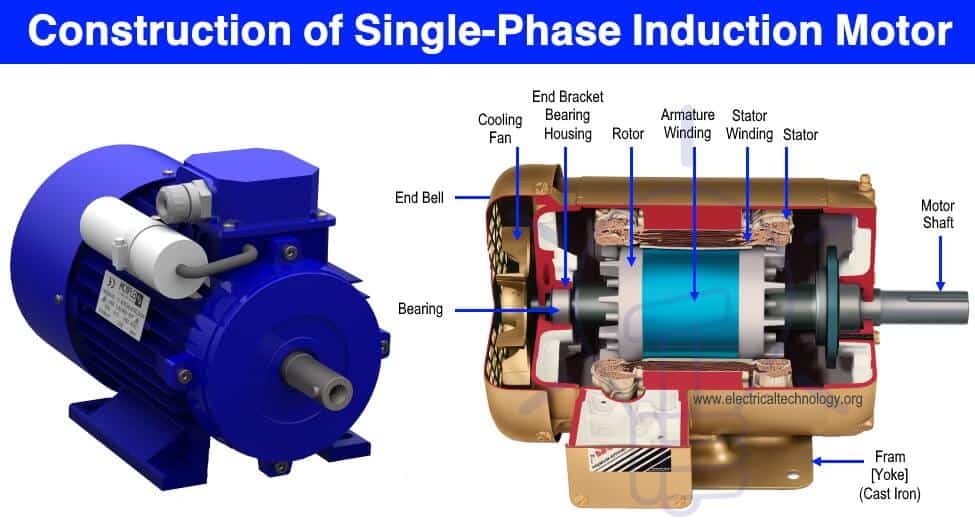 How many types of rotor are there in 3 phase induction motor? - Motorization