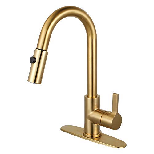 Picture 49 of 50 - Brushed Brass Kitchen Faucet Inspirational Kitchen Faucets the Unfinished Concrete Backdrop Elevates Appeal - HTSREC.COM Photo Gallery | HTSREC.COM