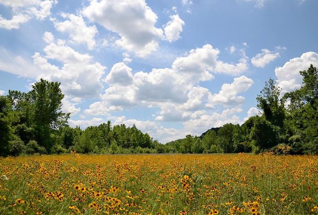 Soaking in the summer at Easton's Borderland State Park - Easton Journal - Easton, MA