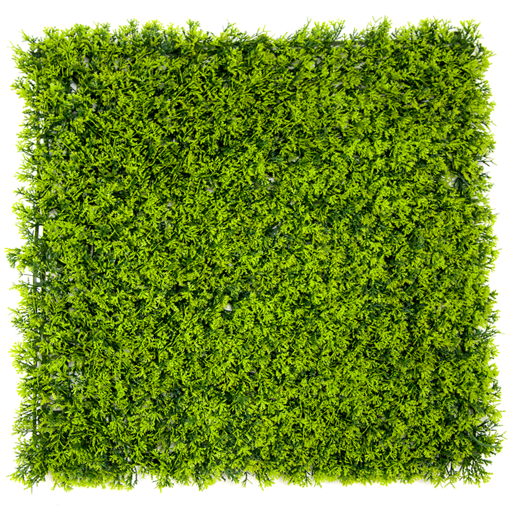 Factory Direct: Customized Green Wall Panel Boxwood Foliage for Indoor & Outdoor Decor - 50*50cm DIY Kit