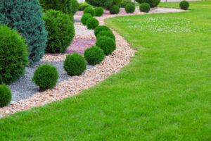 Outdoor Artificial Savannah Grass | Silk Savannah Grass | Commercial Silk Int'l