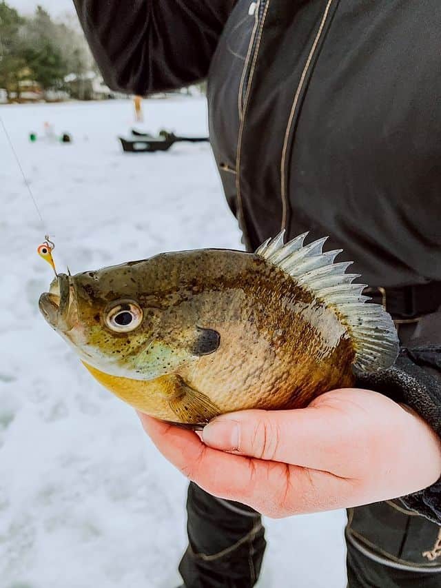 Tungsten ICE FISHING 