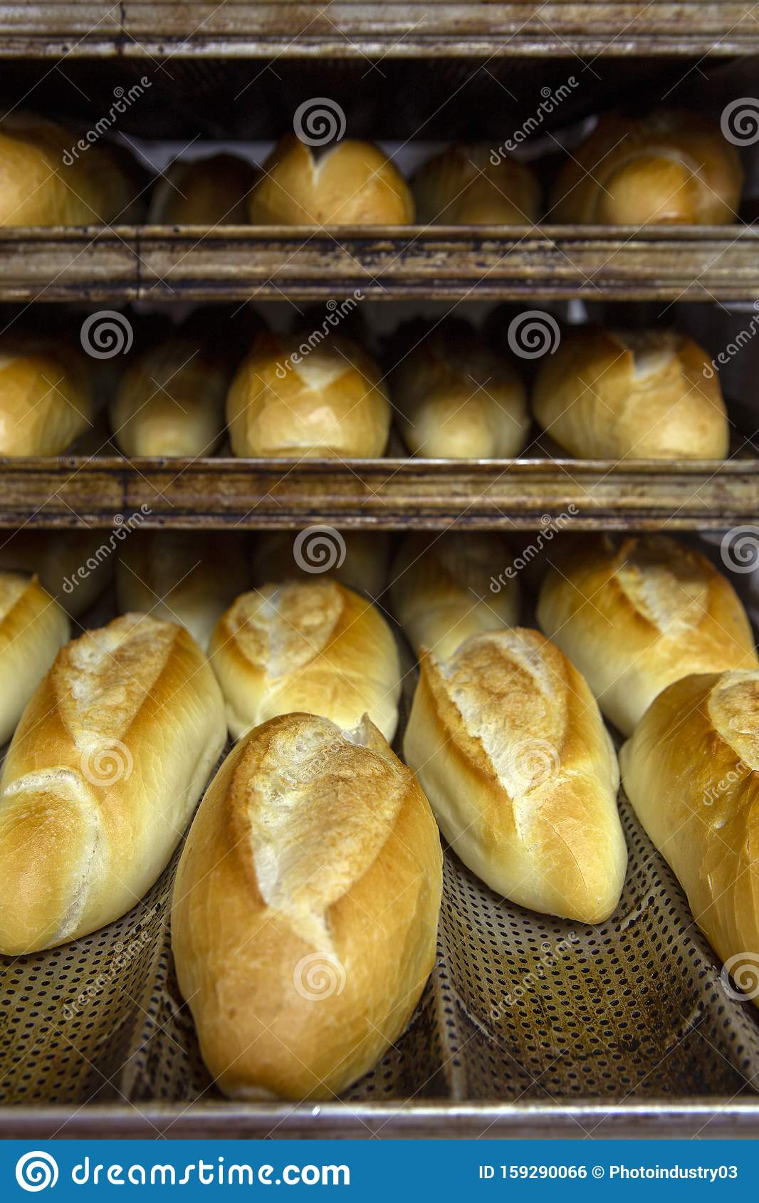 Bakery Ovens  Tagged 