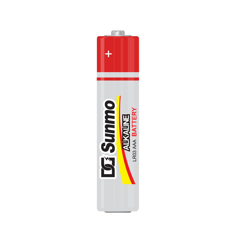 DG Sunmo 1.5V LR03 AM4 Alkaline AAA Battery