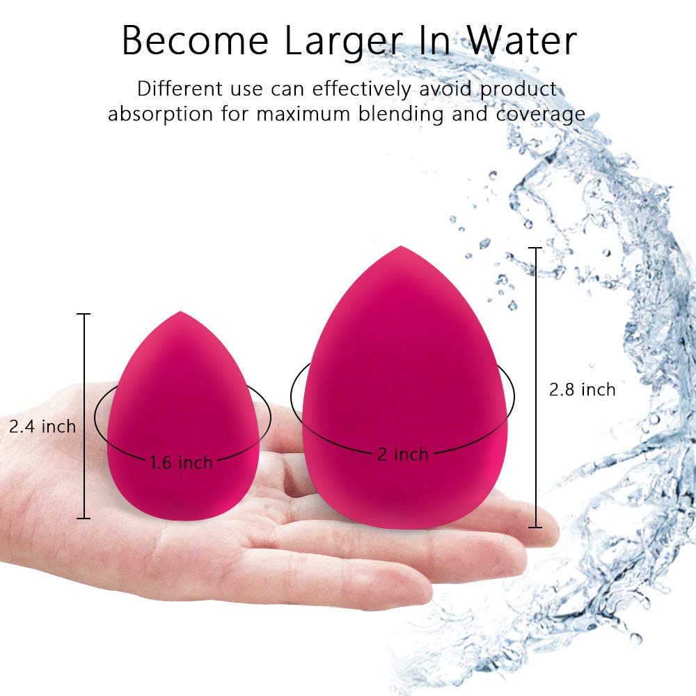 makeup sponge (10)