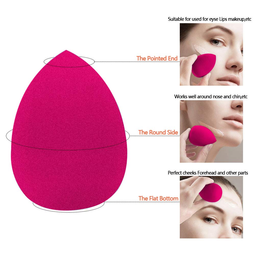 makeup sponge (7)