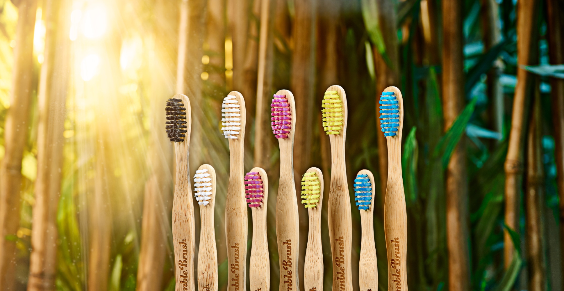 China Bamboo Toothbrush Factory - Cheap Bamboo Toothbrush Manufacturer