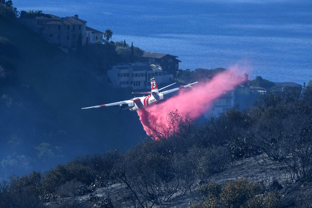 Fire retardant - Wikipedia