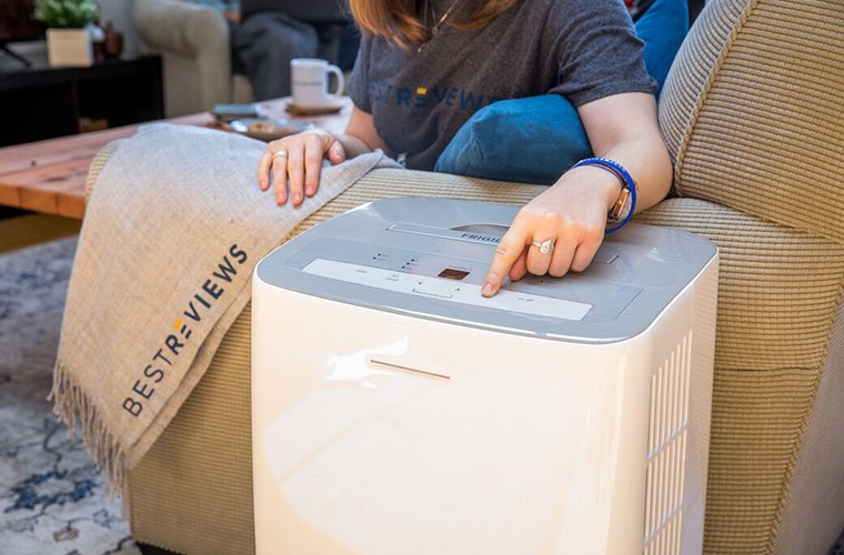 Basement Dehumidifier