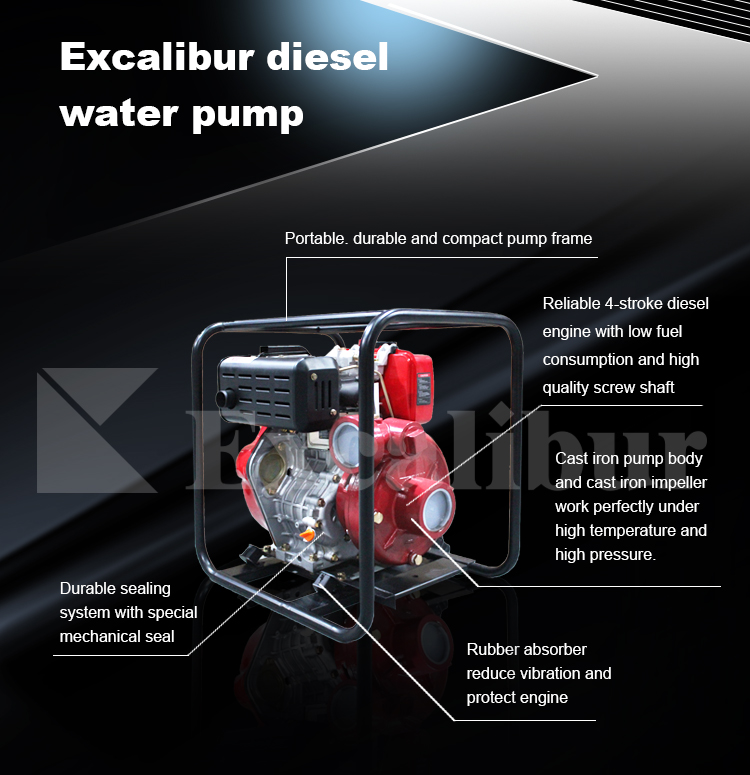 CASI IRON WATER PUMP (17)