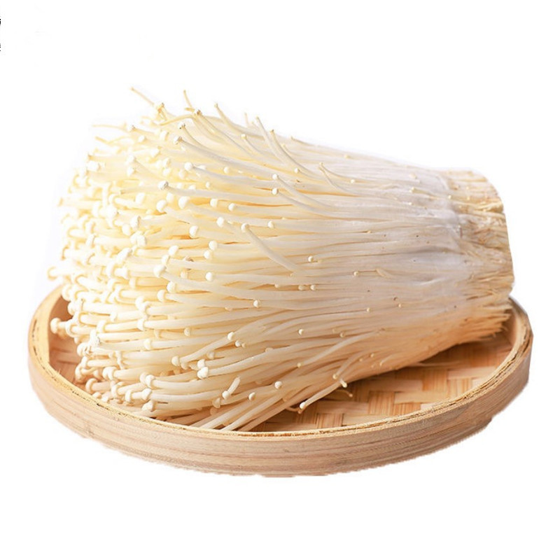 Discover the Best Fresh Enoki Mushrooms Straight from Our Chinese Factory!