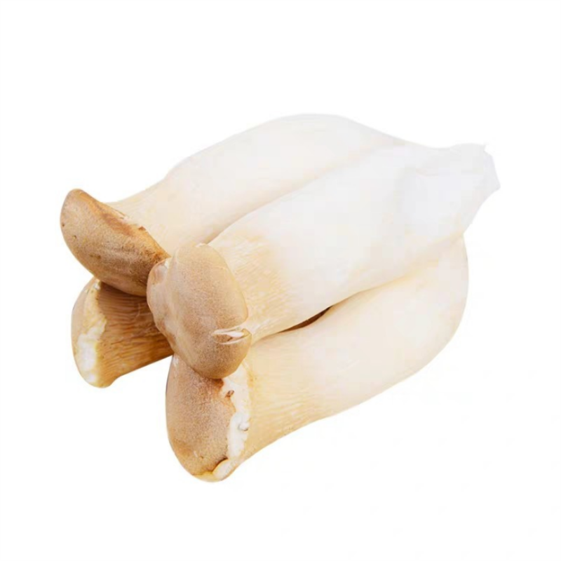 Fresh Type King Oyster Mushrooms Eryngii Mushrooms In Punnet