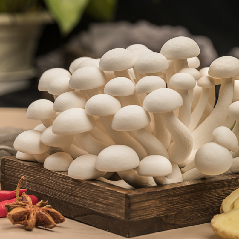 Fresh and Nutritious White <a href='/bunashimeji/'>Bunashimeji</a> Mushrooms Direct from Our Factory - Finc Brand