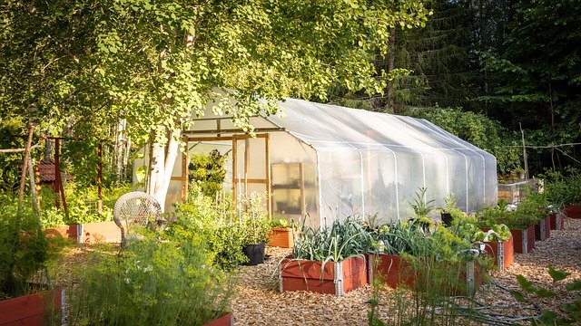 Generate your Own Greenhouse : Gothic Arch Greenhouses | Grow Organic Vegetables