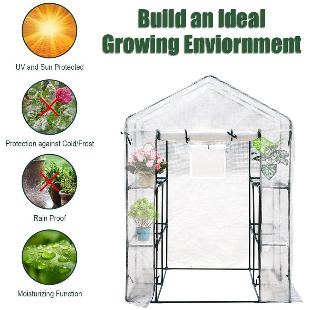 Greenhouses | Walk-in Wooden & Mini Greenhouses | wilko.com