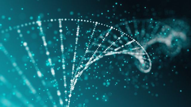 ApoE Genotype - DNA Connexions